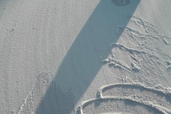 43111340_10215319199206796_2262988714592436224_n