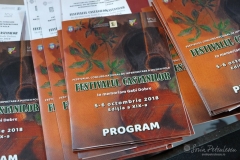 43192679_1115547275264985_7145283262082973696_o