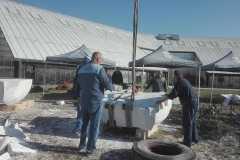 43828071_251556112225733_2233974728744239104_n